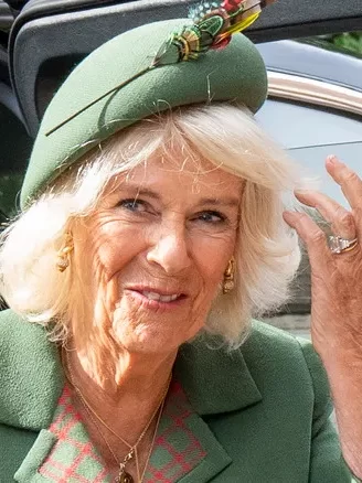 Back in 2005, when she was 57 years old, Camilla Parker Bowles officially stepped into the world of royal duties when she married then-Prince Charles. She immediately rose to the task, and by 2022, she worked with 100-plus organizations. "It's a wonderful transformation," royal biographer William Shawcross, explained to The Washington Post. "She's found it much easier than one might have expected to adapt to the pressures and strains of royal life." Read More: https://www.thelist.com/1387300/expert-queen-camillas-body-language-since-queens-death/