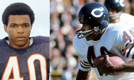 Gale Sayers Net Worth Of 2023
